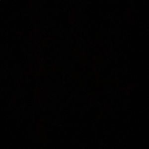 Meet your Posher, Buddy